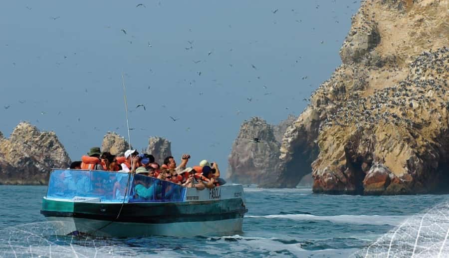 Paracas: Ballestas Islands and Candelabra of Paracas Boat - Who will get the most from this tour?