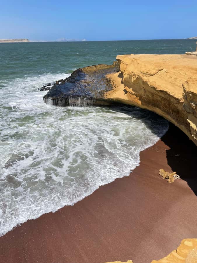 PARACAS: BALLESTAS ISLANDS AND NATIONAL RESERVE - What the $39 price really covers
