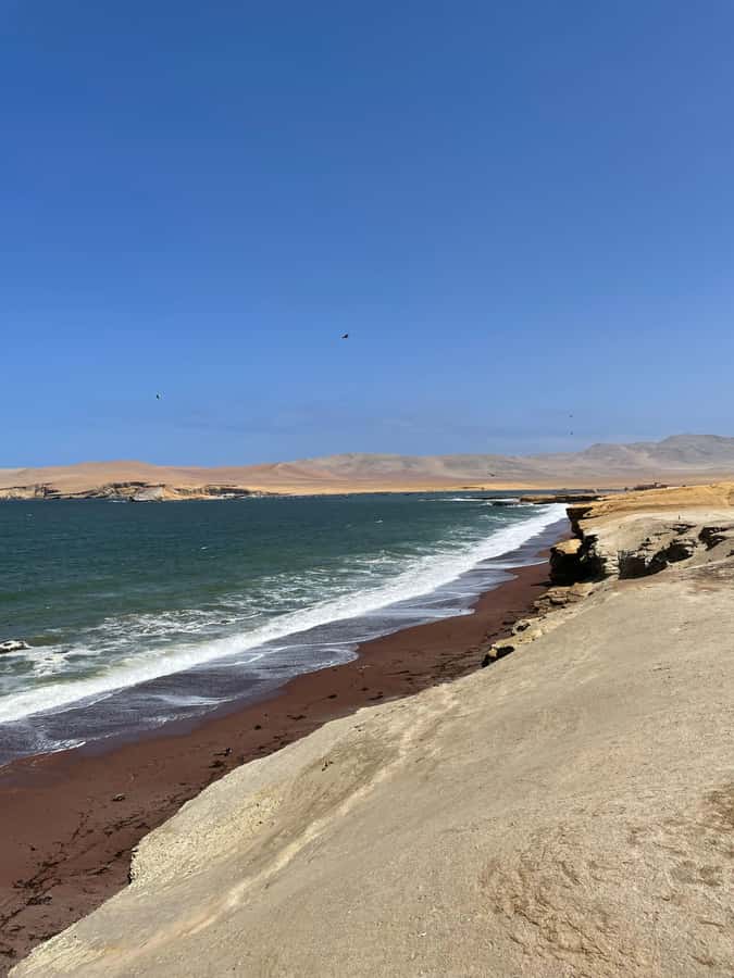 PARACAS: BALLESTAS ISLANDS AND NATIONAL RESERVE - Should you book the Ballestas Islands and Paracas Reserve tour?