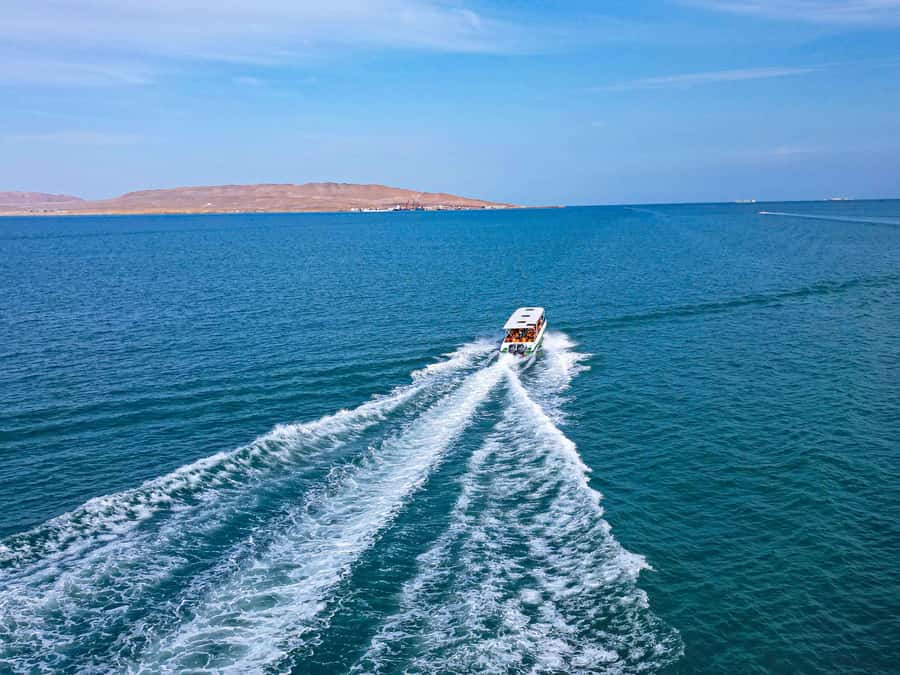 Paracas: Ballestas Islands Guided Boat Tour - Key points to know before booking