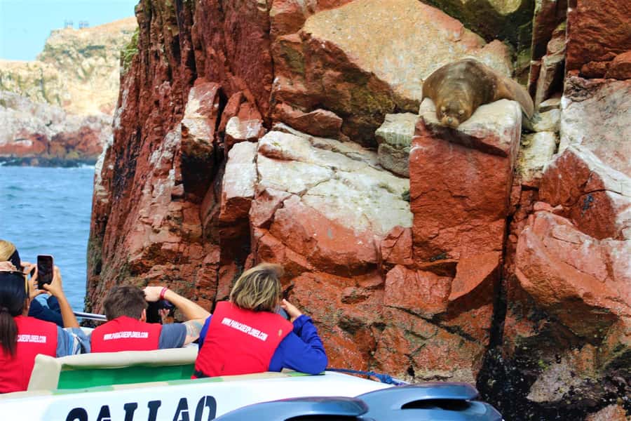 Paracas: Ballestas Islands Guided Boat Tour - Why the Ballestas Islands make such a good short trip
