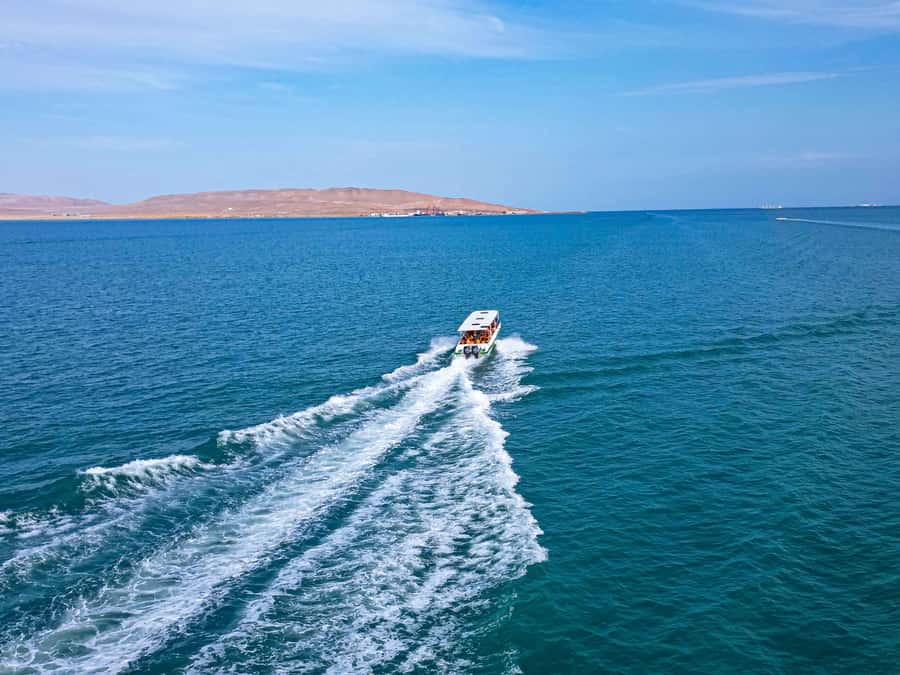 Paracas: Ballestas Islands Guided Boat Tour - Who will enjoy this boat trip most
