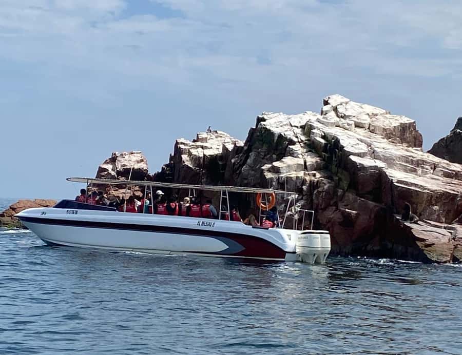 Paracas: Ballestas Islands Morning Boat Tour - Should you book the Ballestas Islands tour?