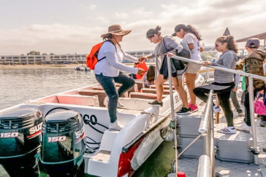 Paracas: Ballestas Islands Morning Boat Tour - Sea lions, penguins, and a sky full of birds
