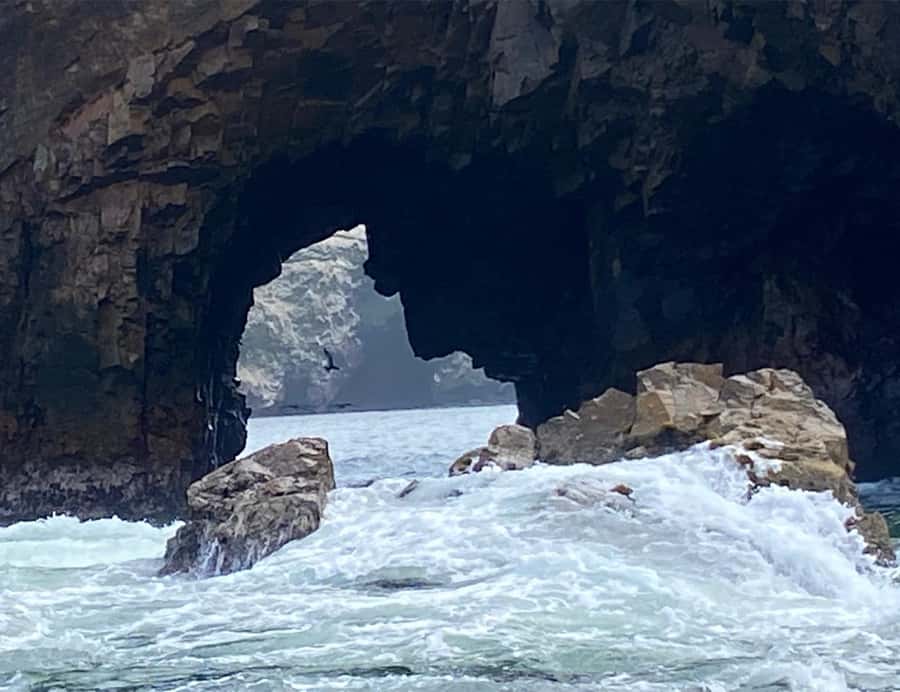 Paracas: Ballestas Islands Morning Boat Tour - Timing, delays, and the real two-hour value