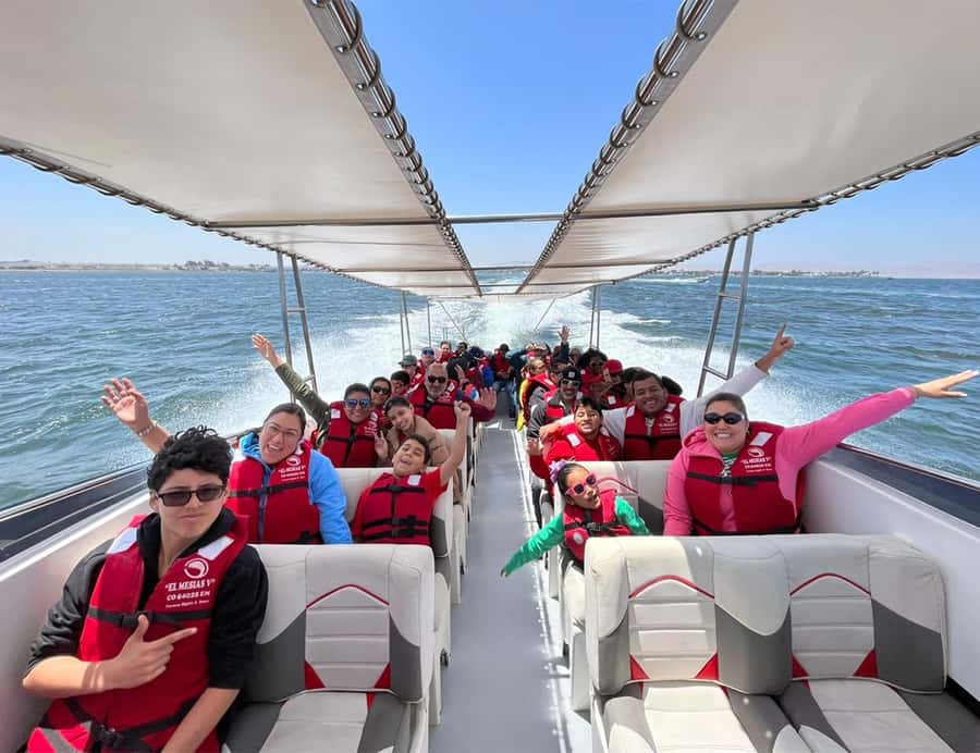 Paracas: Ballestas Islands Morning Boat Tour - Who will enjoy this boat tour most