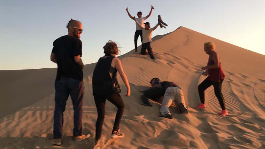 Paracas or Pisco: Private Huacachina Oasis Tour & Buggy Ride - From Paracas to Ica, with pisco along the way
