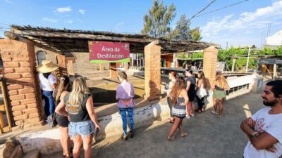 Paracas or Pisco: Private Huacachina Oasis Tour & Buggy Ride