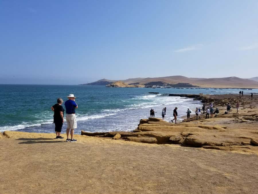 Paracas:Private Tours Paracas National Reserve all inclusive - What the $43 price includes