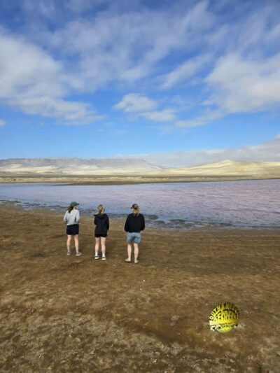 Private Tours Paracas National Reserve all inclusive