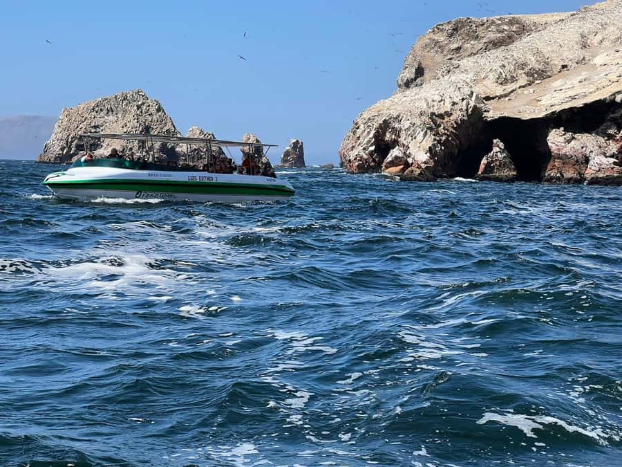 Paracas: speedboat BALLESTAS ISLANDS TOUR - Key points to know before booking