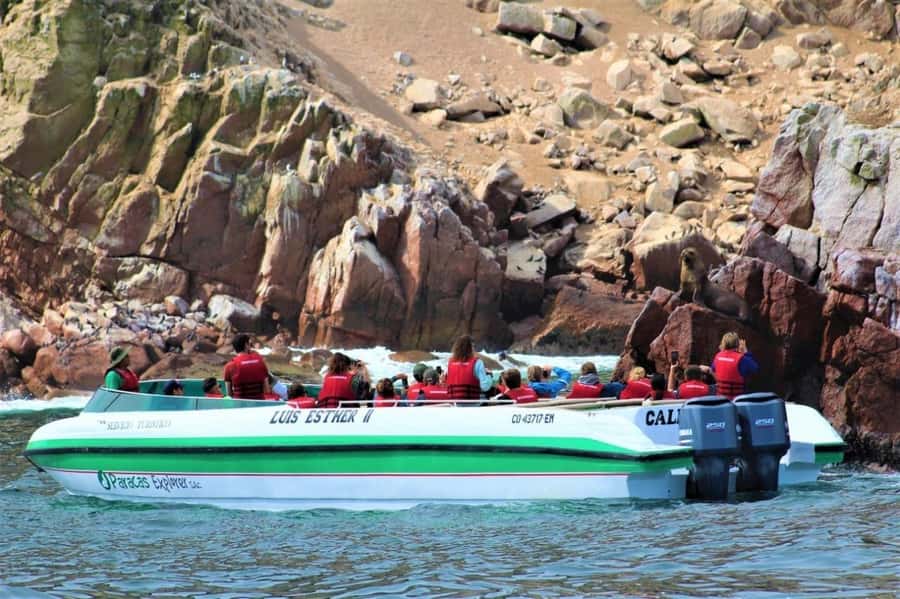 Paracas: speedboat BALLESTAS ISLANDS TOUR - Why the Ballestas Islands make a strong half-day outing