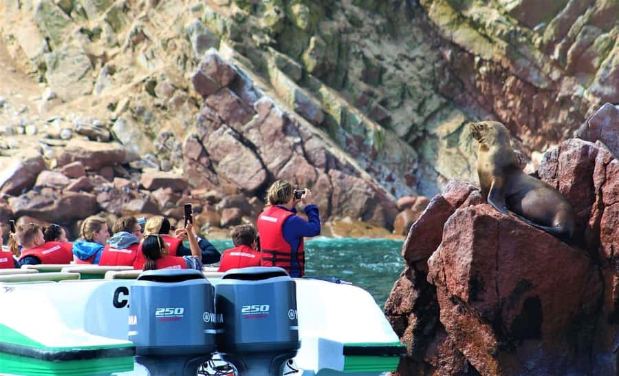 Paracas: speedboat BALLESTAS ISLANDS TOUR - The first view is El Candelabro