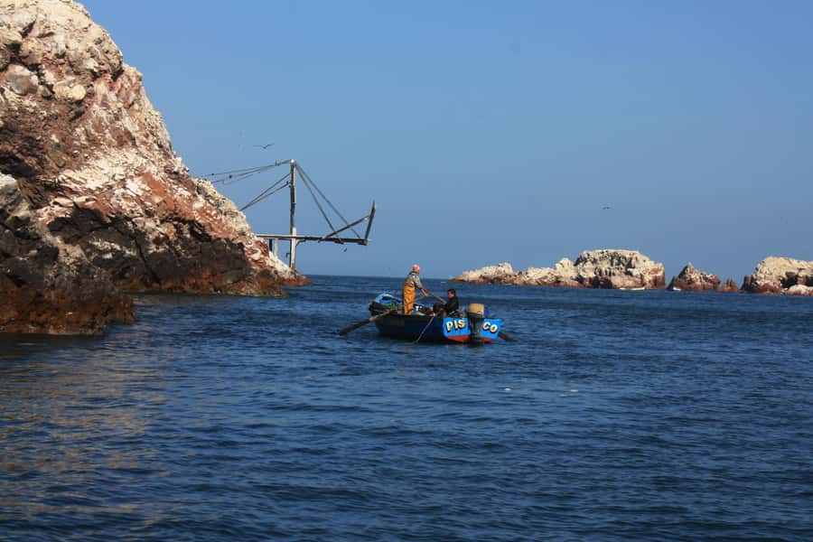 Paracas: speedboat BALLESTAS ISLANDS TOUR - Who should book this boat tour?