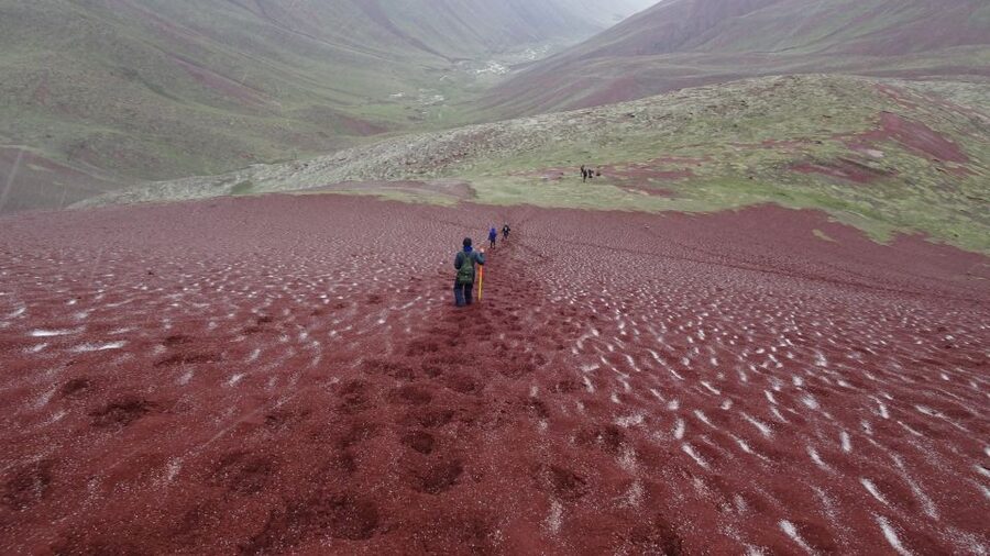 Peru: Rainbow Mountain and Red Valley View Point Tour - Lunch, the ride back, and the value of a long day