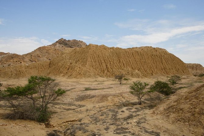 Piramids of Tucume Tour, Sican Museum and Lambayeque city tour - Key points to know before you book