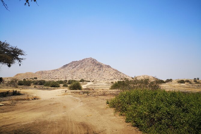 Piramids of Tucume Tour, Sican Museum and Lambayeque city tour - Timing, meeting point and cancellation advice