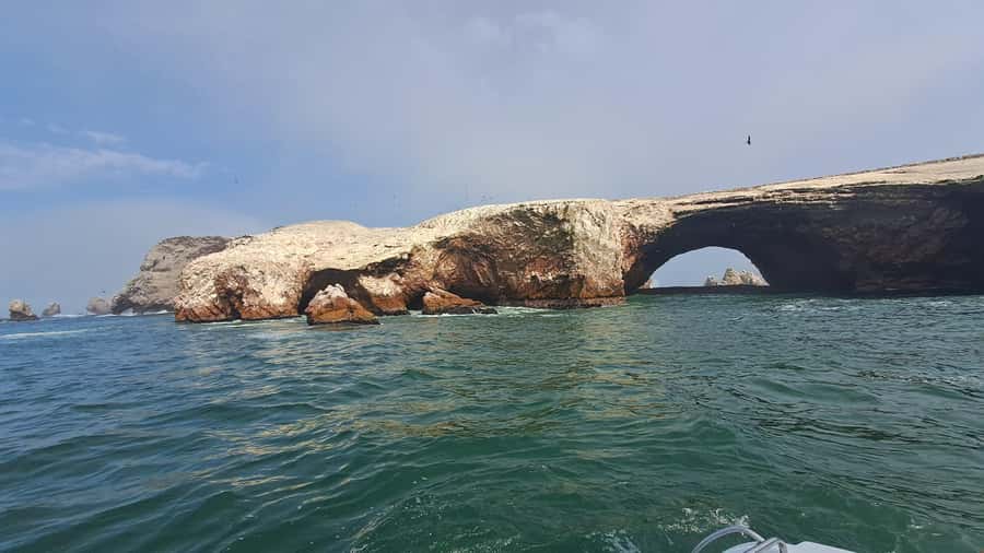 Private Tour: Ballestas Island & Huacachina Oasis, from Lima - Vineyard tasting and the Pisco tradition