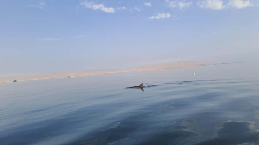 Private Tour: Ballestas Island & Huacachina Oasis, from Lima - Practical packing for coast, desert, and sand