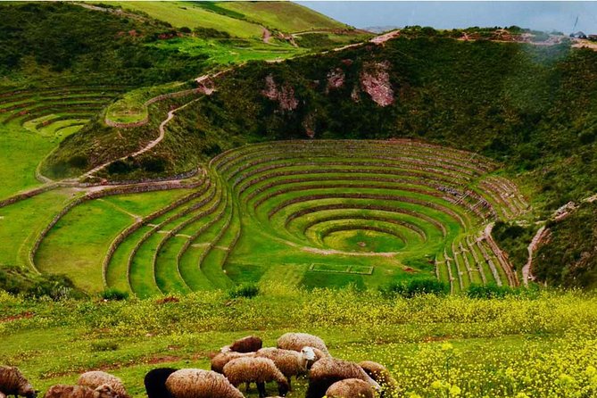 Private Tour Sacred Valley, Chinchero, Maras Moray, Ollantaytambo - Why a private vehicle changes the day