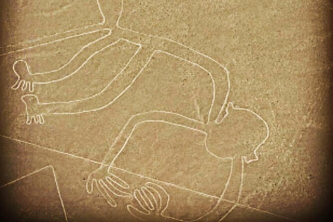 Private Tour to the Astonished Nazca Lines and Huacachina Oasis - Pisco Nietto and the taste of southern Peru