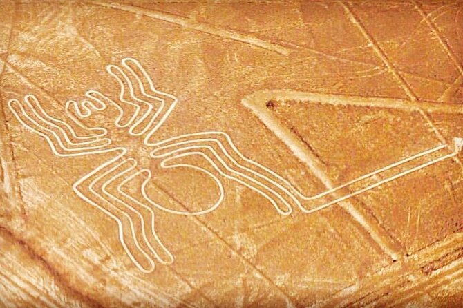 Private Tour to the Astonished Nazca Lines and Huacachina Oasis - Looking down on the Nazca Lines from Pisco