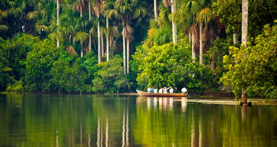 Puerto Maldonado: 2-Day Peruvian Tambopata Jungle Trip - Quick points before you book