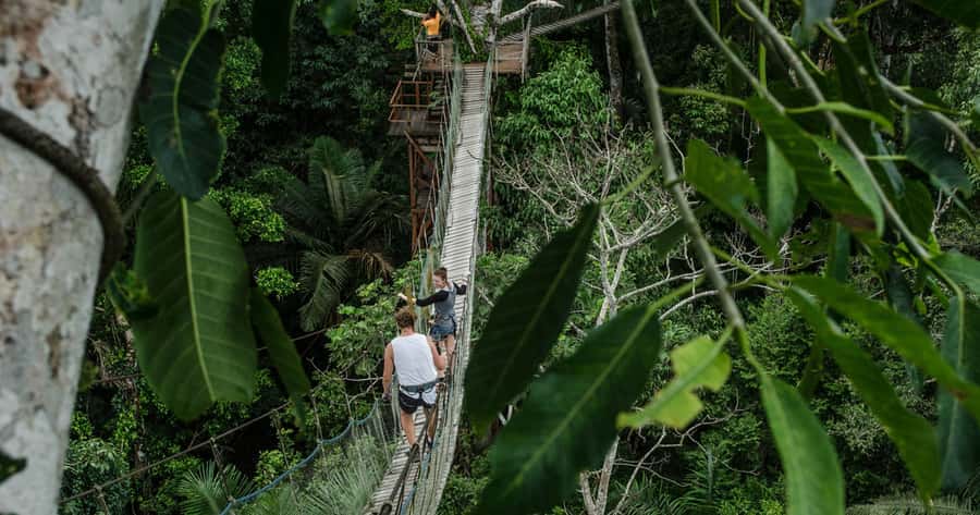 Puerto Maldonado: 2-Day Peruvian Tambopata Jungle Trip - What this two-day Tambopata trip is really like