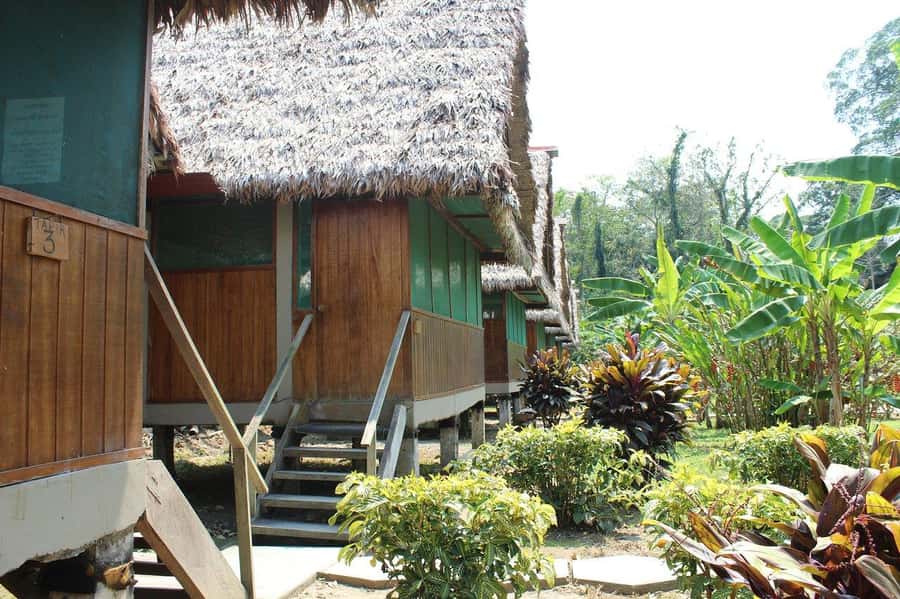 Puerto Maldonado: 2-Day Peruvian Tambopata Jungle Trip - The return to Puerto Maldonado needs careful planning