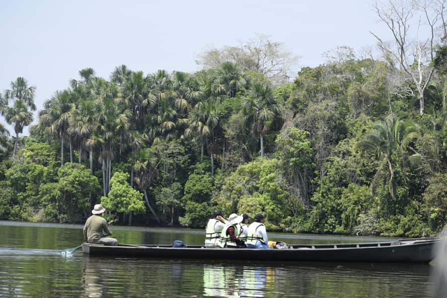 Puerto Maldonado: 4-Day Tambopata Rainforest Tour - Arriving at the Tambopata jungle house