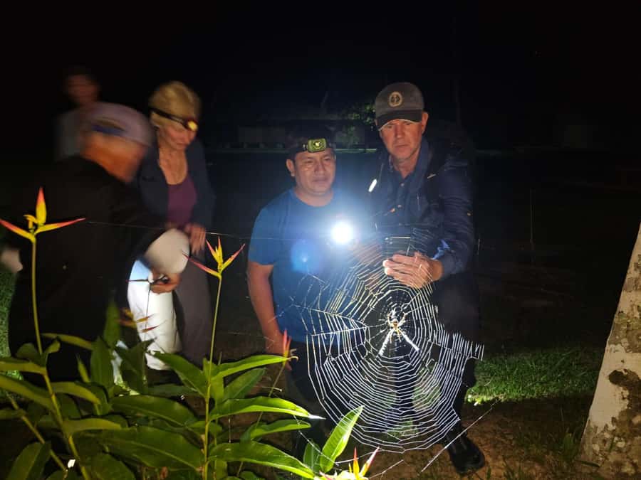 Puerto Maldonado: Jungle Night Tour with Sloths & Tarantulas - Key points to know before you book