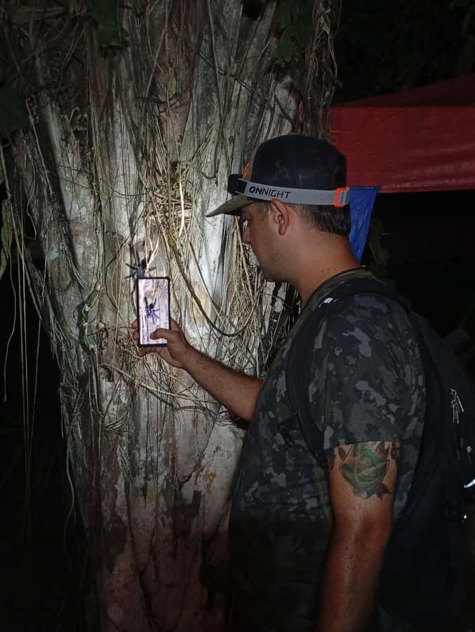 Puerto Maldonado: Jungle Night Tour with Sloths & Tarantulas - What the two-hour search feels like