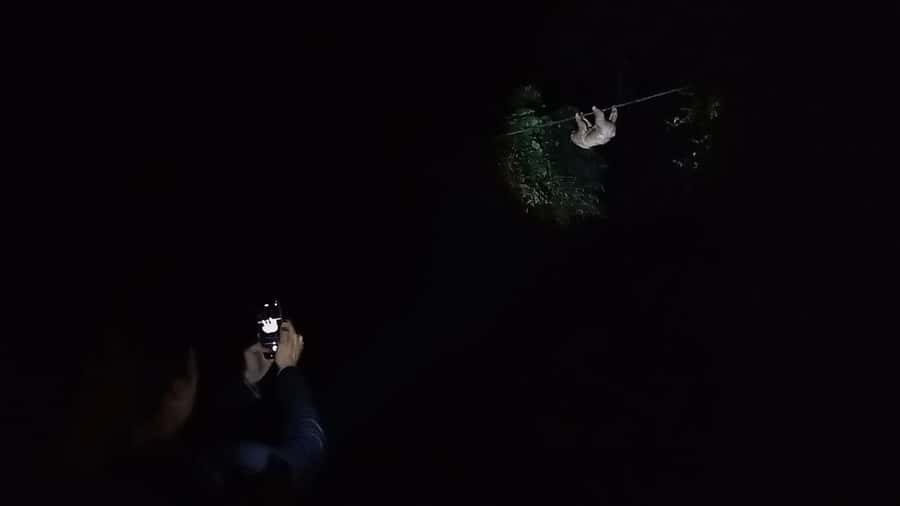 Puerto Maldonado: Jungle Night Tour with Sloths & Tarantulas - Boots, clothing, and what to pack