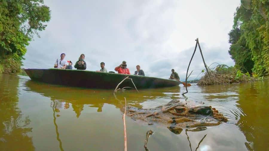 Puerto Maldonado: Lago Sandoval Day Trip with Lunch - Why Lago Sandoval makes a strong day trip from Puerto Maldonado