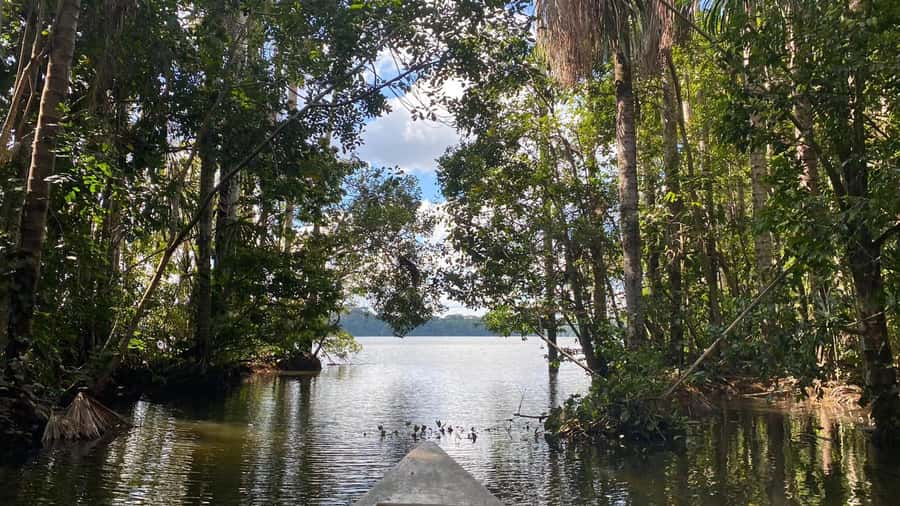 Puerto Maldonado: Sandoval Lake 4-Day, 3-Night Guided Tour - Monkey Island and a Search for Caimans