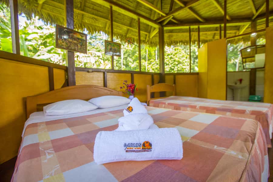 Puerto Maldonado: Sandoval Lake 4-Day, 3-Night Guided Tour - A Night Walk Among Small Creatures