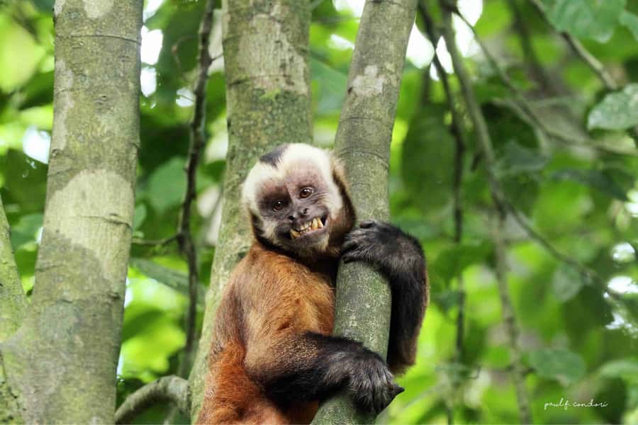 Puerto Maldonado: Sandoval Lake 4-Day, 3-Night Guided Tour - Who Will Enjoy This Tour Most?
