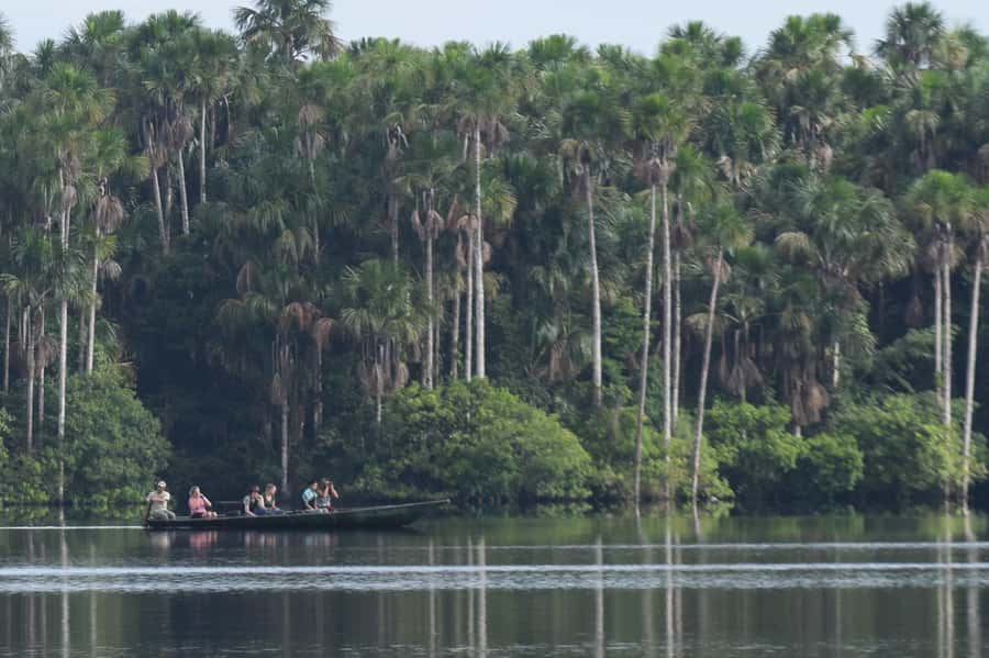 Puerto Maldonado: Sandoval Lake Full-Day Trip with Canoeing - From Puerto Maldonado to the Madre de Dios River