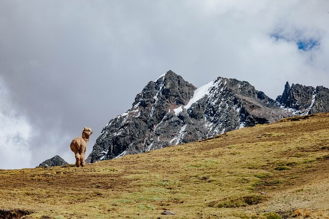 Rainbow Mountain and Red Valley Hike – 2 Days / 1 Night - Surinecocha camp and a cold night outdoors