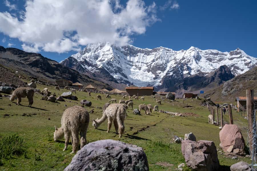 Rainbow Mountain Cusco tour - Why Rainbow Mountain Demands Respect