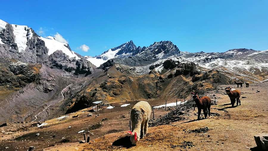 Rainbow Mountain tour and Machu Picchu tour by train - Day two: Ollantaytambo to Aguas Calientes by train