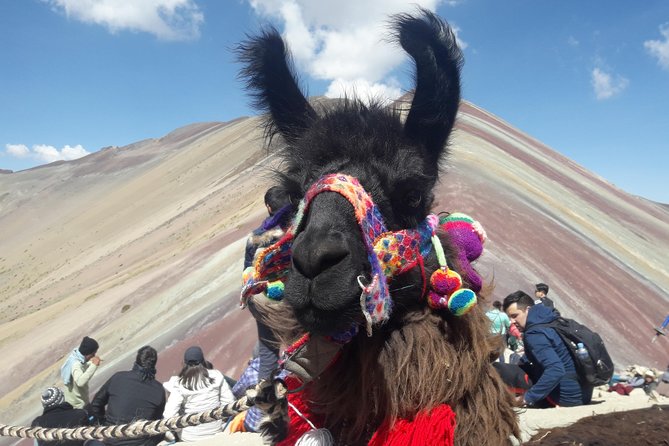 Rainbow Mountain Tour Vinicunca (Full Day) - Reaching the Vinicunca viewpoint