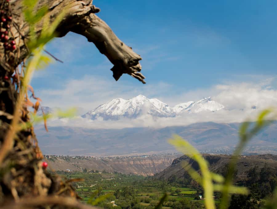 Rock Climbing in Arequipa, Perú - Timing, pickup, and practical details