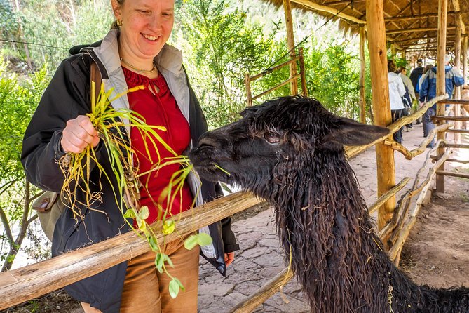 Sacred Valley and Machu Picchu Tour in 2 days with Peru Vip - Entering Machu Picchu early