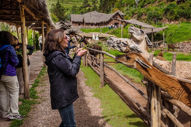 Sacred Valley and Machu Picchu Tour in 2 days with Peru Vip - What the $491.29 price really covers