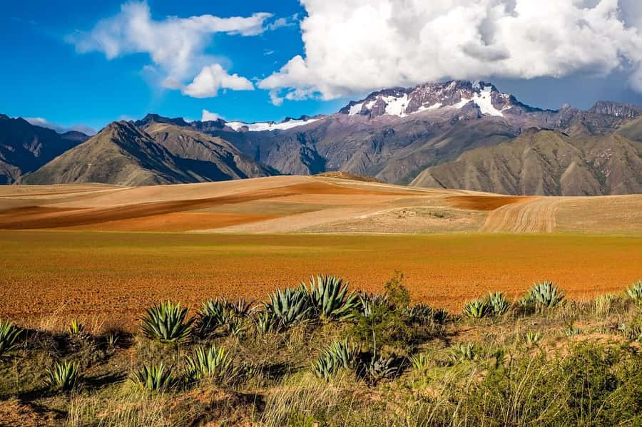 Sacred Valley: Chinchero, Moray, Ollantaytambo & Pisac+Lunch - Pisac closes the ruins portion with mountain views