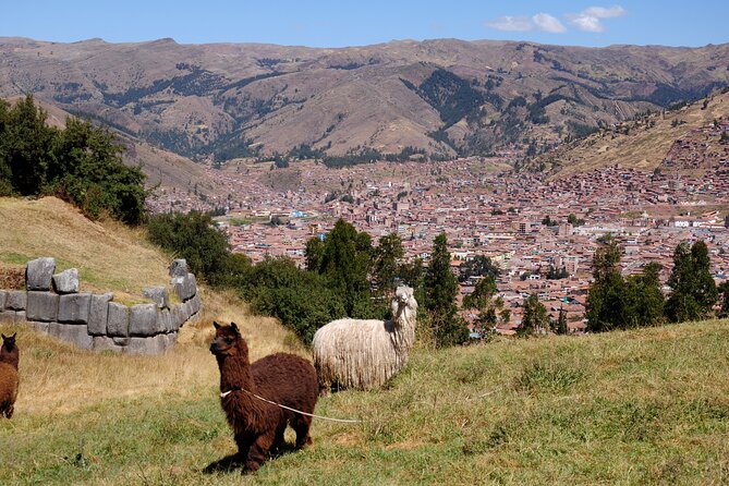 Sacsayhuaman Temple, Tambomachay and Puca Pucara Half-Day Tour - The shopping-stop question deserves attention