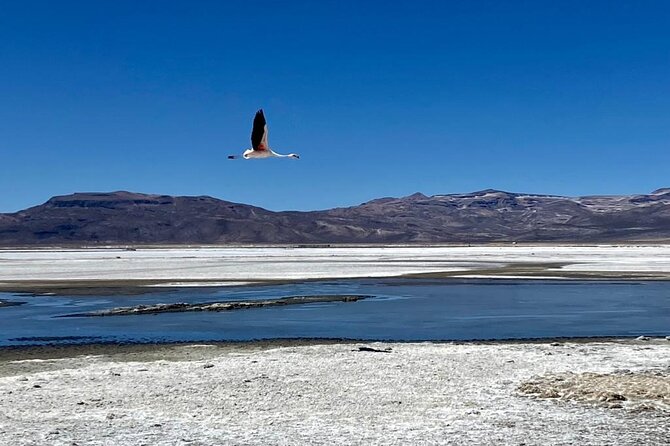 Salinas National Reserve PRIVATE TOUR - What to pack for the 4,400-meter reserve