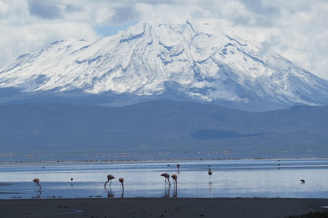 Salinas National Reserve PRIVATE TOUR - Who will enjoy this tour most