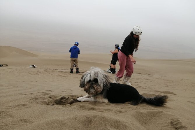 Sandboarding Experiance in Lima - Standing runs, seated sledding, and plenty of falling